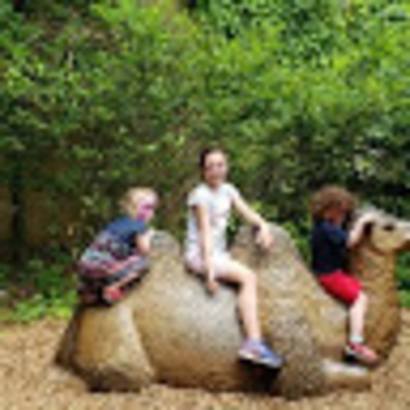 Meet your Posher, David - Picture 1 of 1